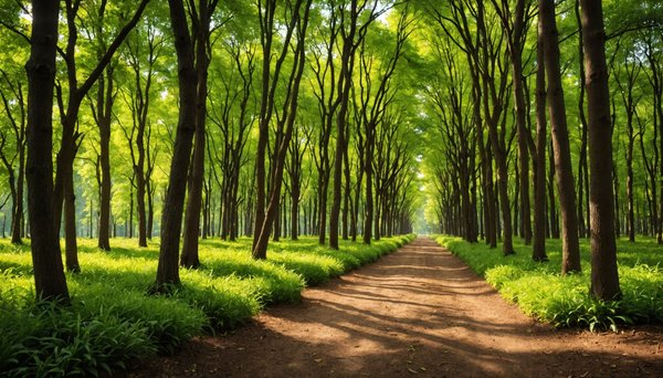 Cogolin côté nature : un havre pour les amateurs de plein air